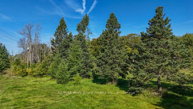 290 Clarke's Road Property Photo 13