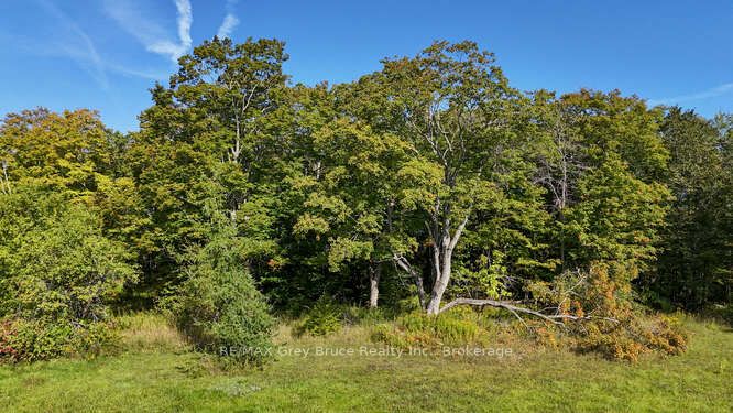 290 Clarke's Road Property Photo 17