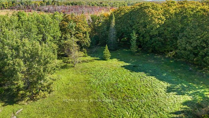 290 Clarke's Road Property Photo 18