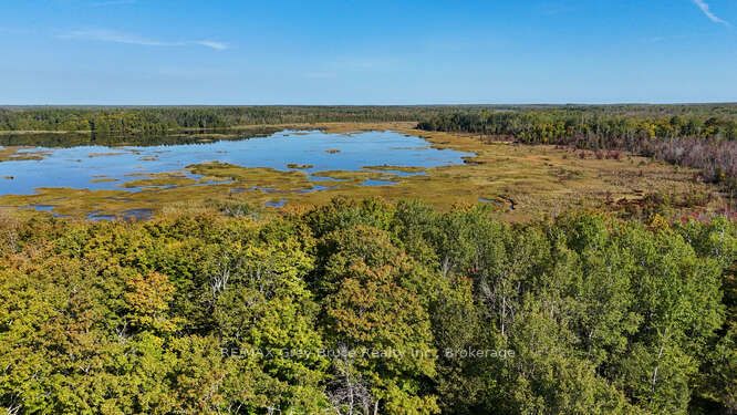 290 Clarke's Road Property Photo 19