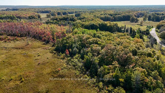 290 Clarke's Road Property Photo 21