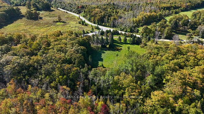 290 Clarke's Road Property Photo 24