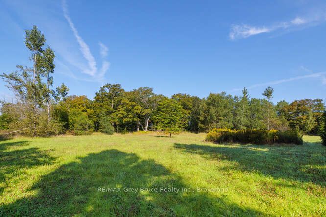 290 Clarke's Road Property Photo 38