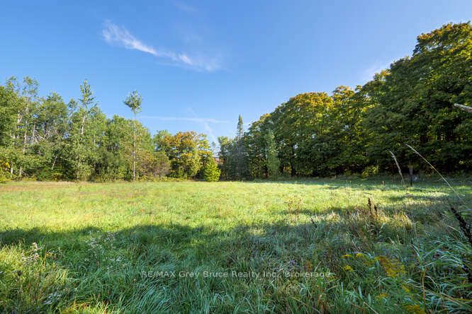 290 Clarke's Road Property Photo 39