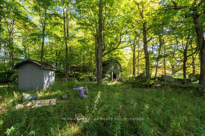 290 Clarke's Road Property Photo 41