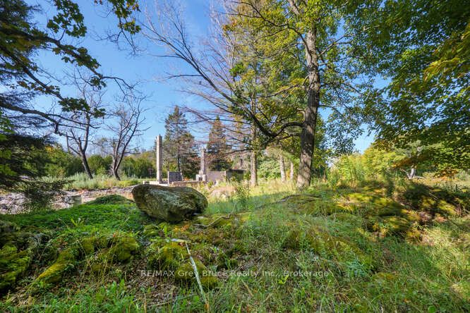 290 Clarke's Road Property Photo 42