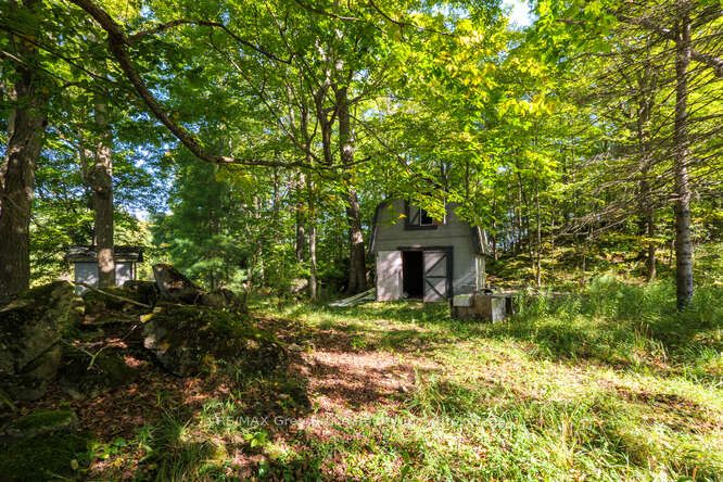 290 Clarke's Road Property Photo 44