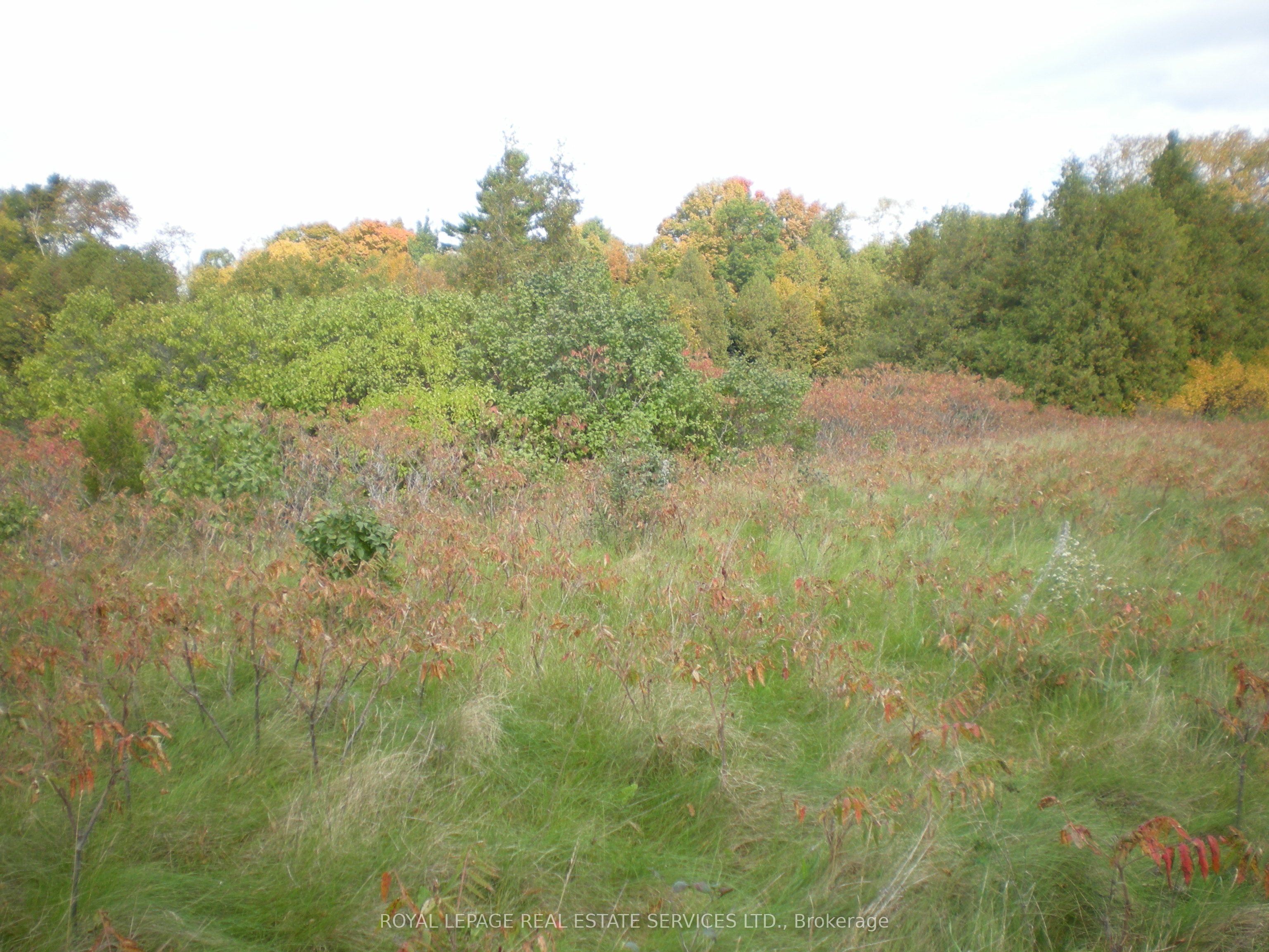 Lt 27 Pt 3 County Rd 10 Property Photo 6
