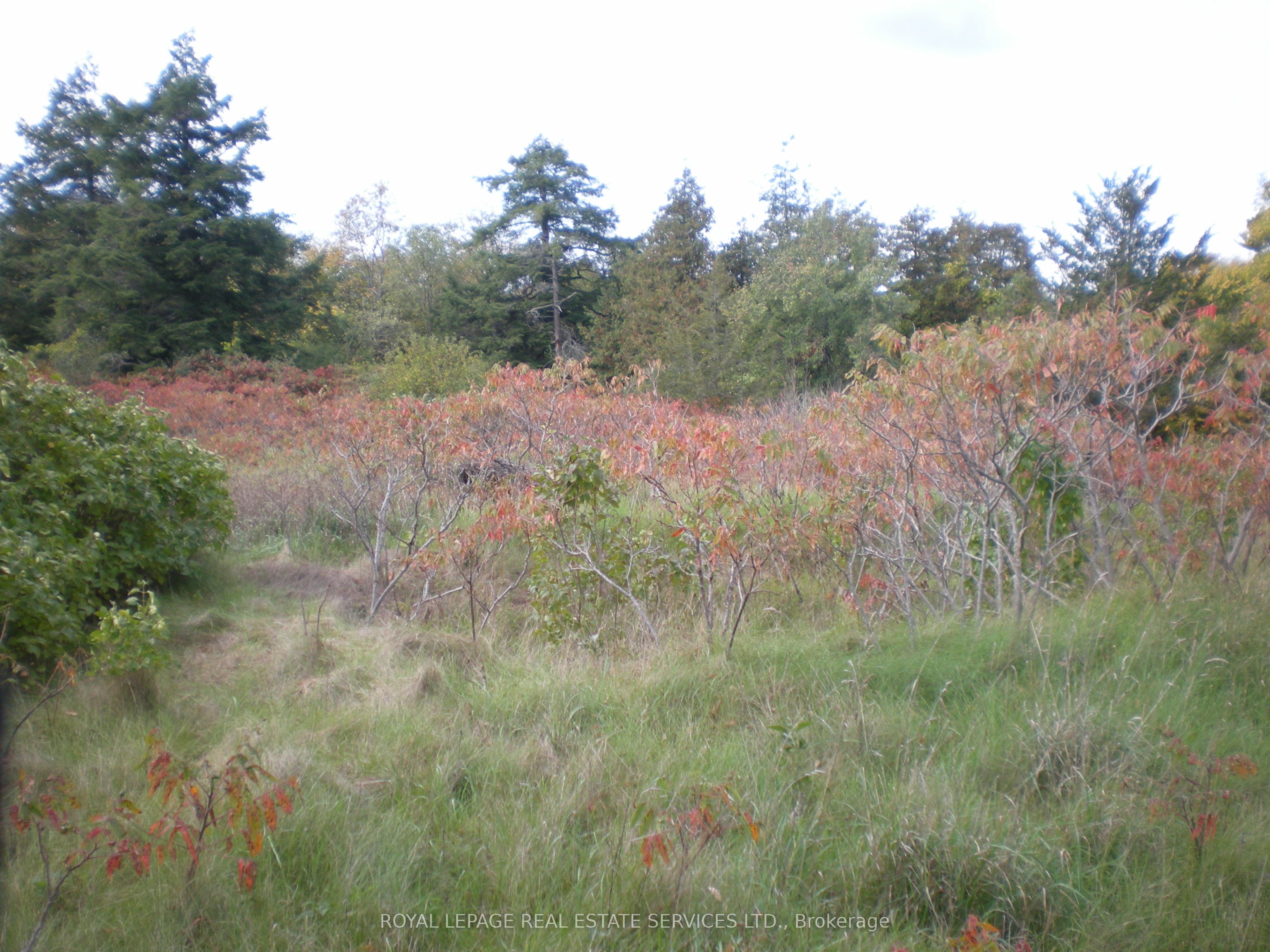 Lt 27 Pt 3 County Rd 10 Property Photo 14