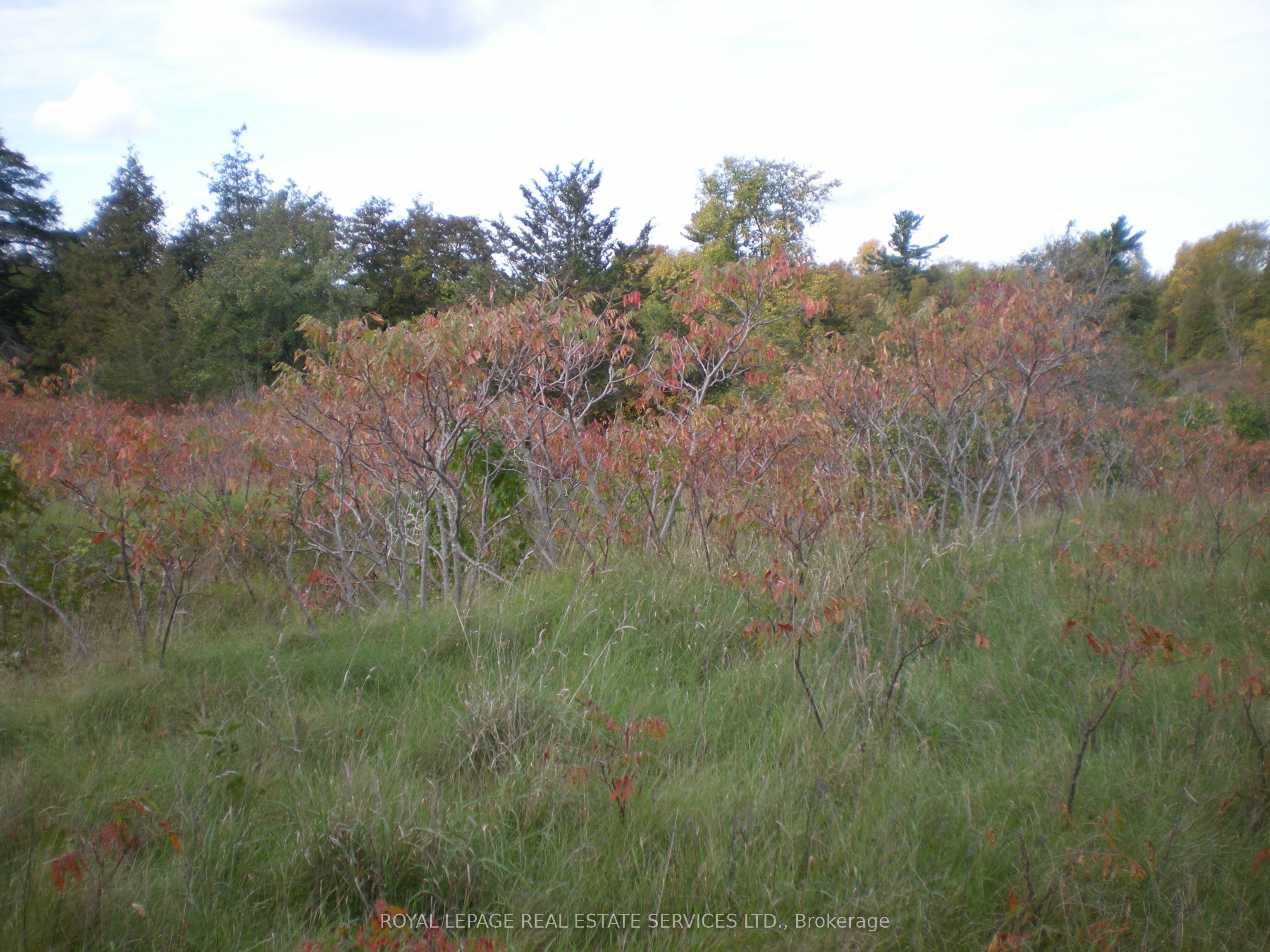Lt 27 Pt 3 County Rd 10 Property Photo 15