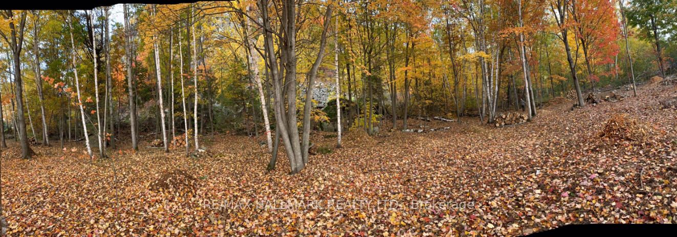 2810 Second Line W Property Photo 7