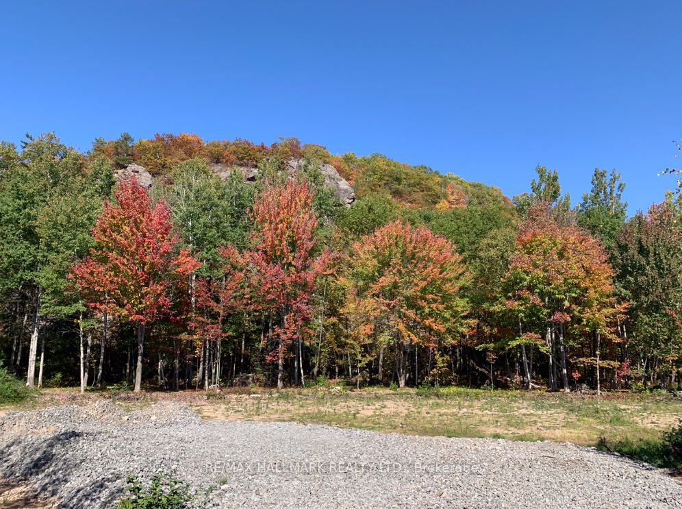 2810 Second Line W Property Photo 8