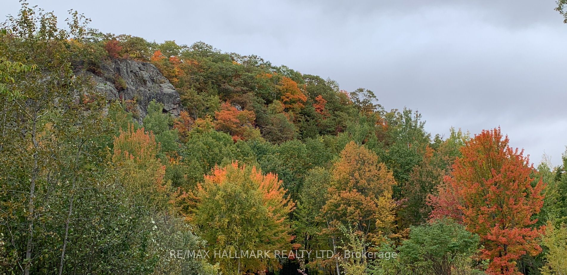 2810 Second Line W Property Photo 9