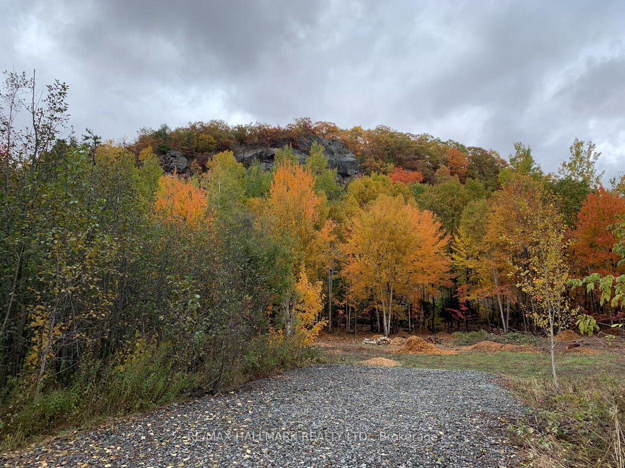 2810 Second Line W Property Photo 10