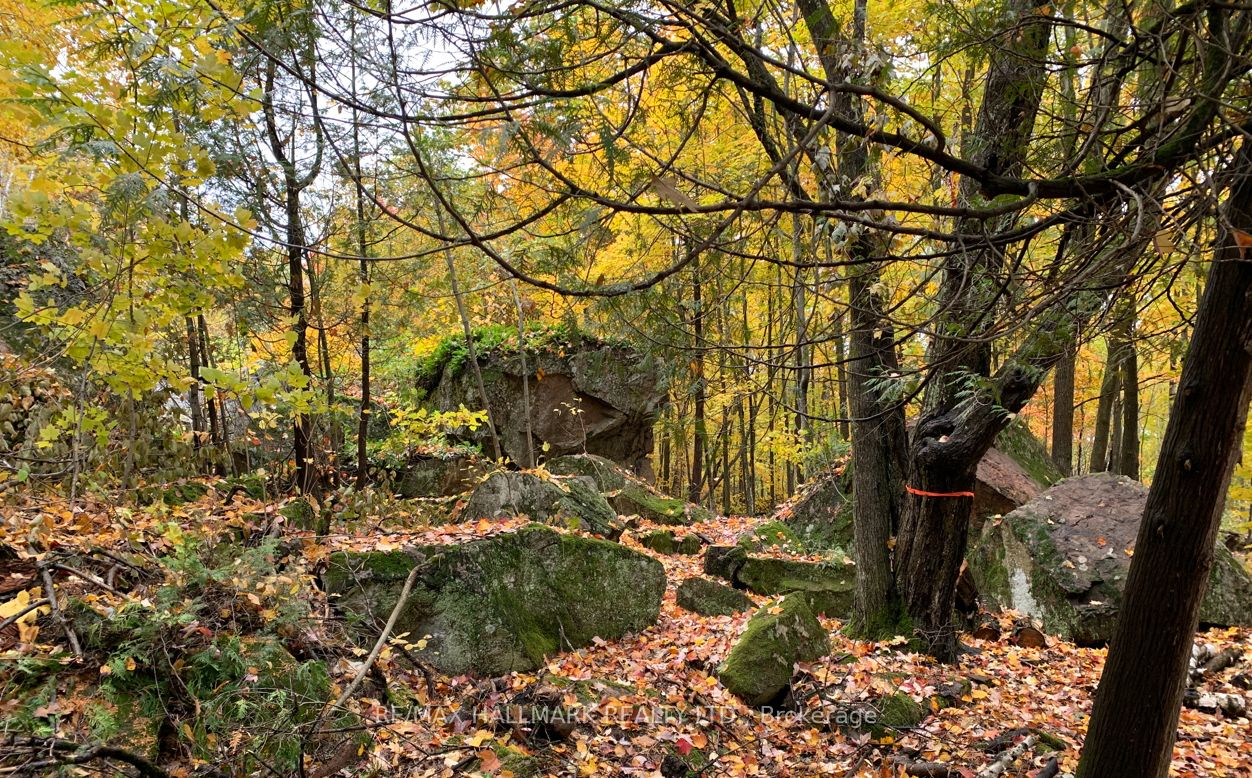 2810 Second Line W Property Photo 11