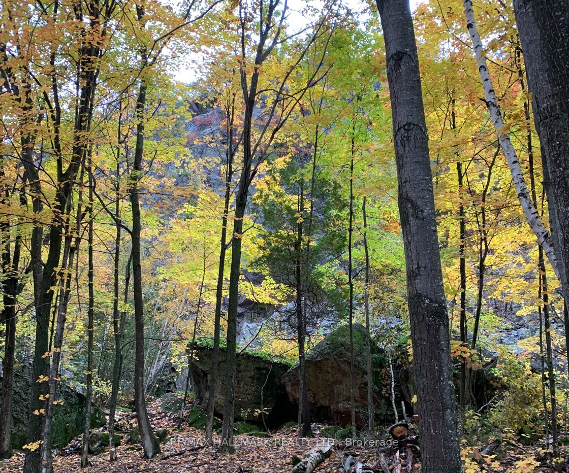 2810 Second Line W Property Photo 12