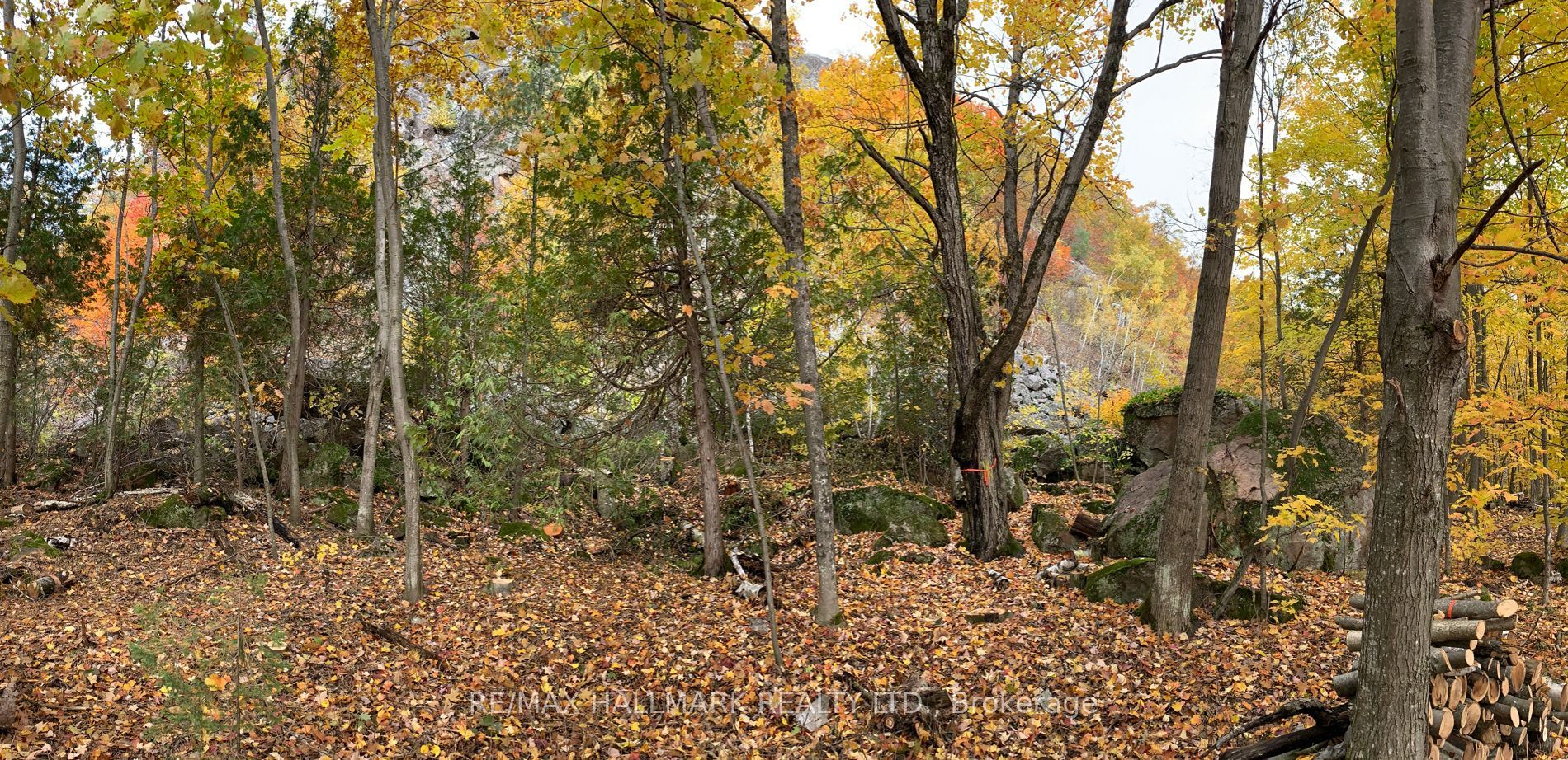 2810 Second Line W Property Photo 13