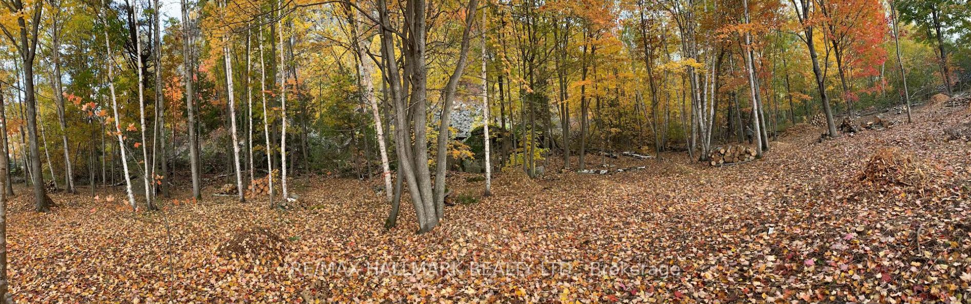 2810 Second Line W Property Photo 14