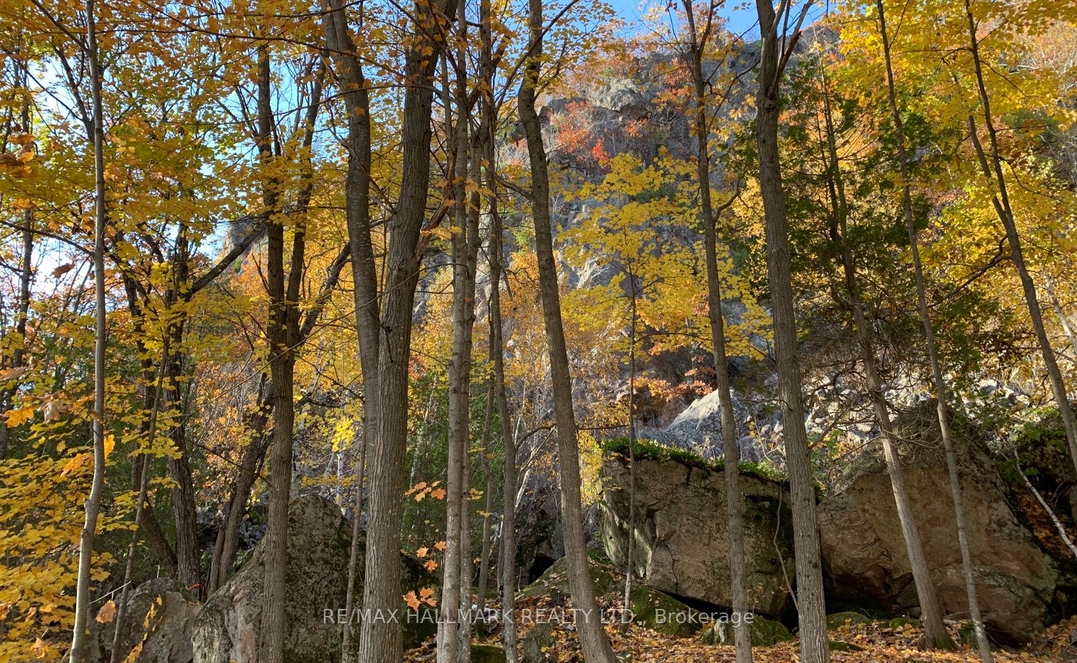 2810 Second Line W Property Photo 15