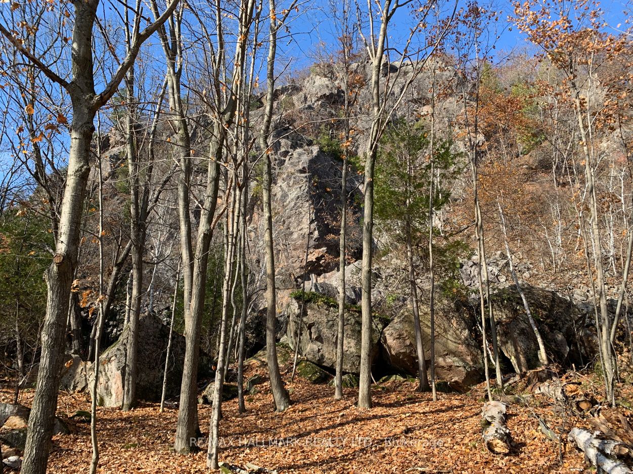 2810 Second Line W Property Photo 16