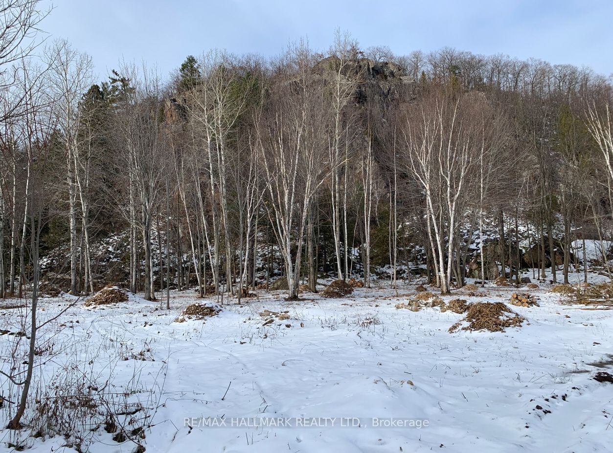 2810 Second Line W Property Photo 17