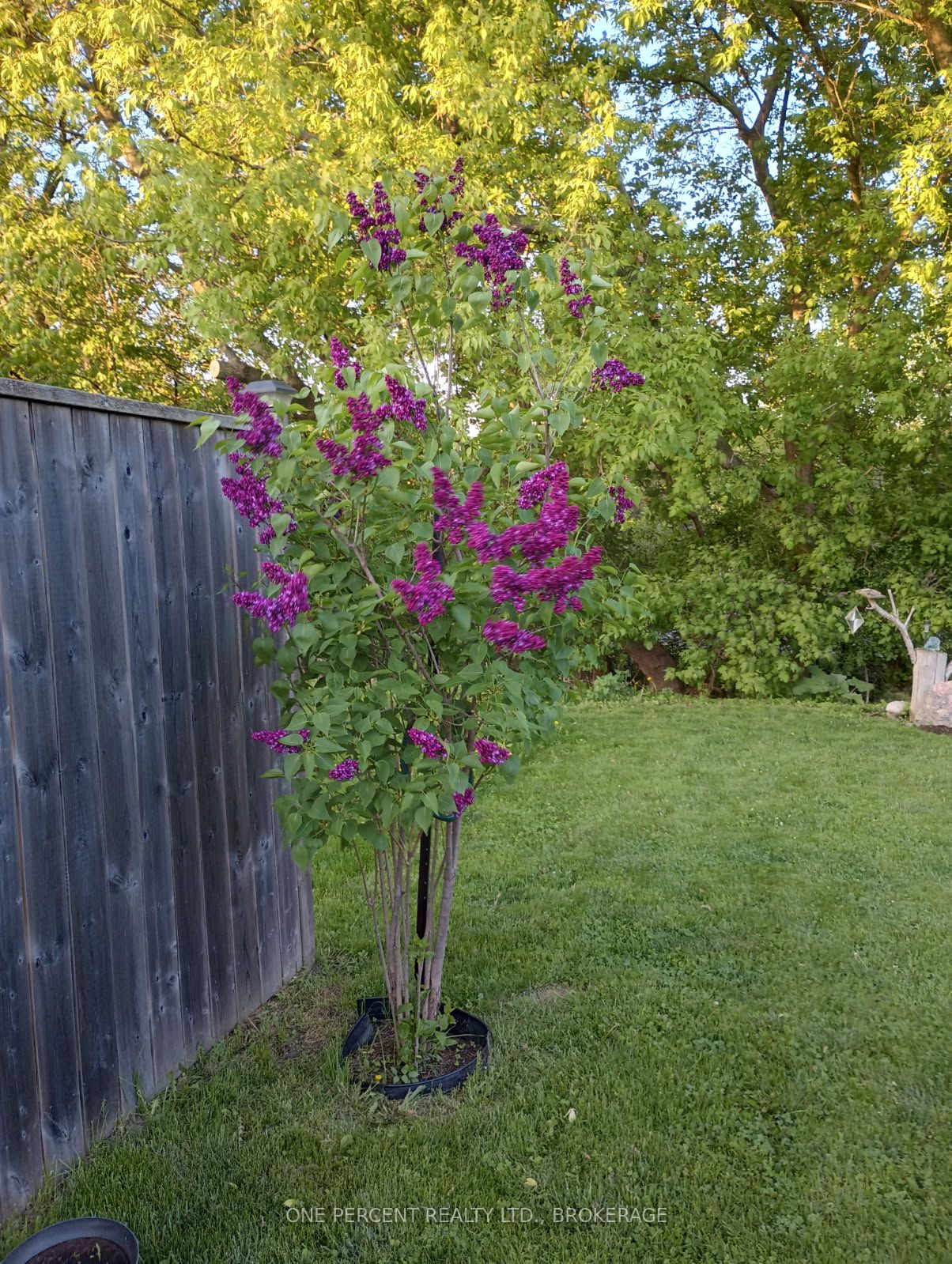 163 Greenhill Lane Property Photo 38