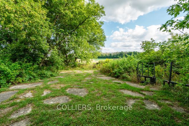 238 Forler Street Property Photo 9