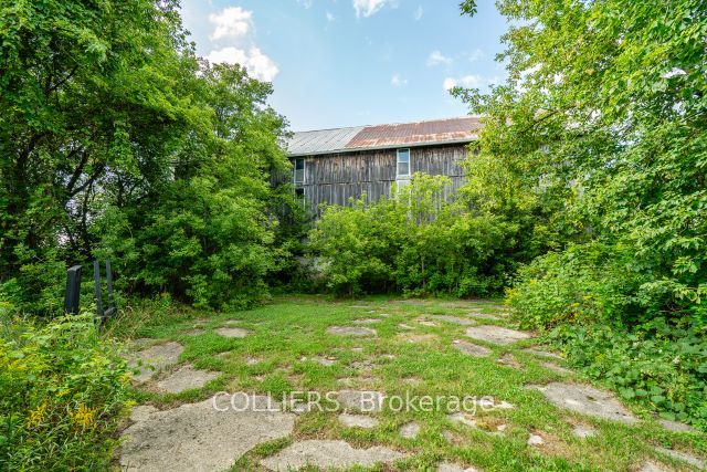 238 Forler Street Property Photo 10