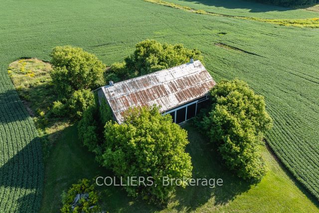 238 Forler Street Property Photo 14