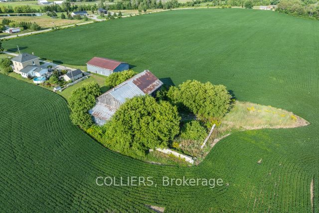 238 Forler Street Property Photo 21