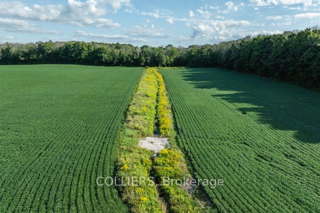 238 Forler Street Property Photo 22
