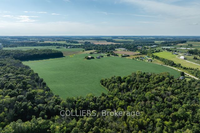 238 Forler Street Property Photo 25