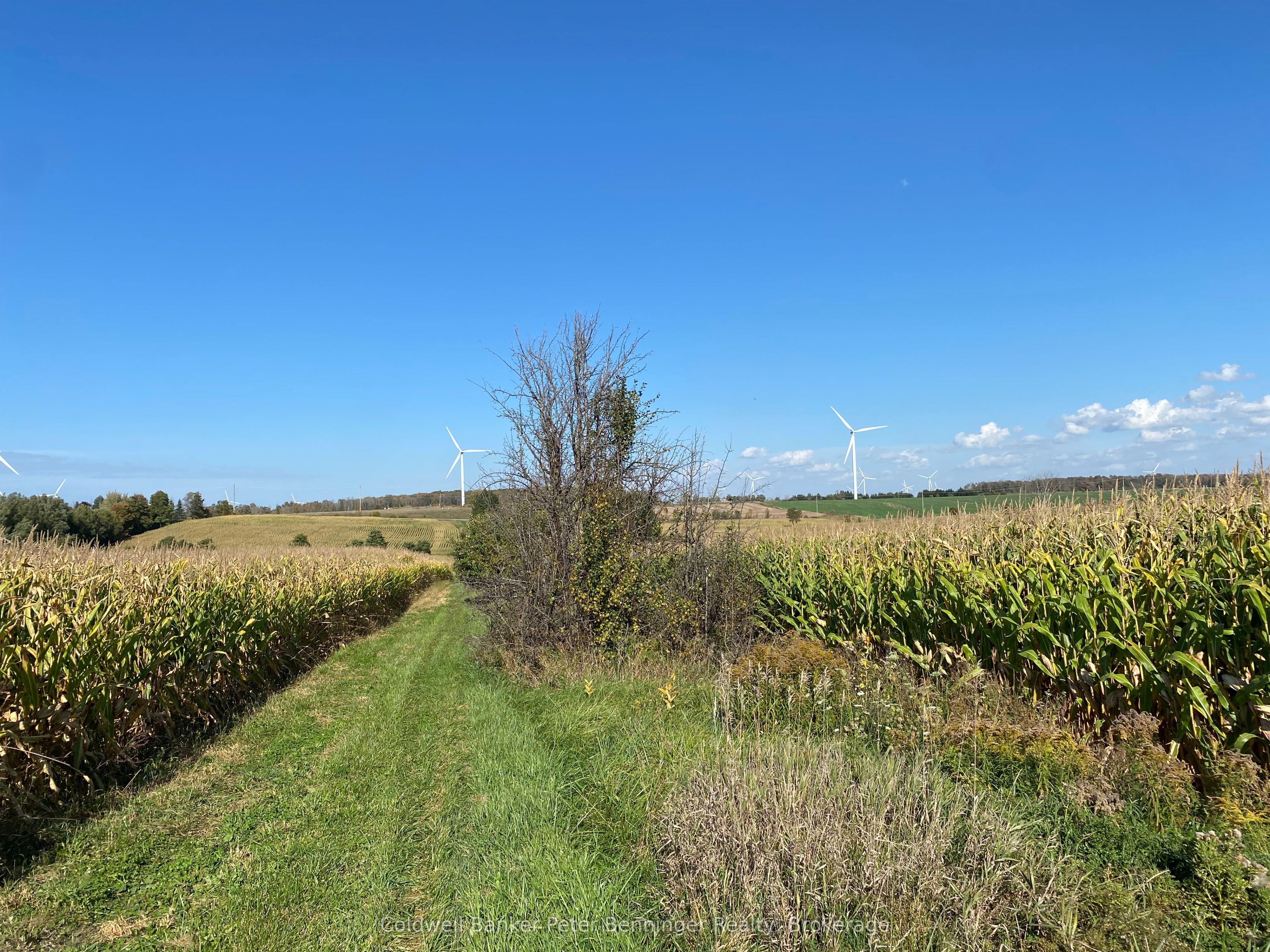 1315 Concession 8 Concession Property Photo 1