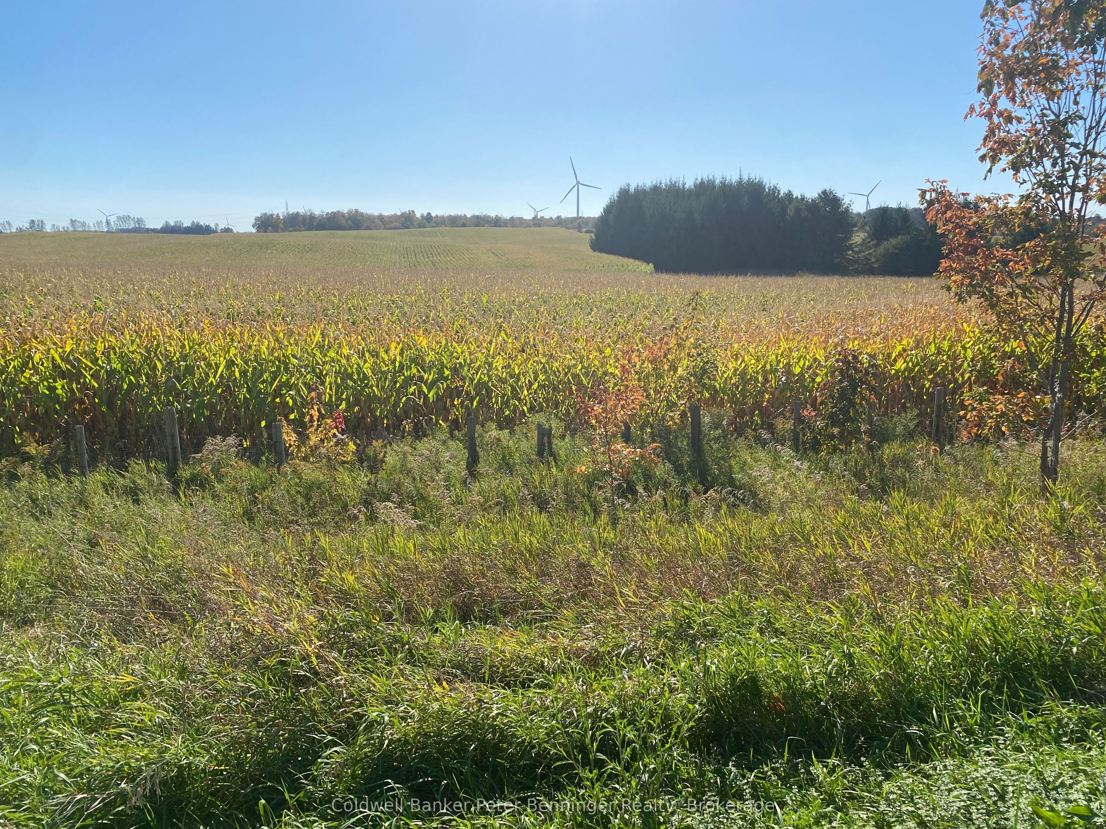 1315 Concession 8 Concession Property Photo 2
