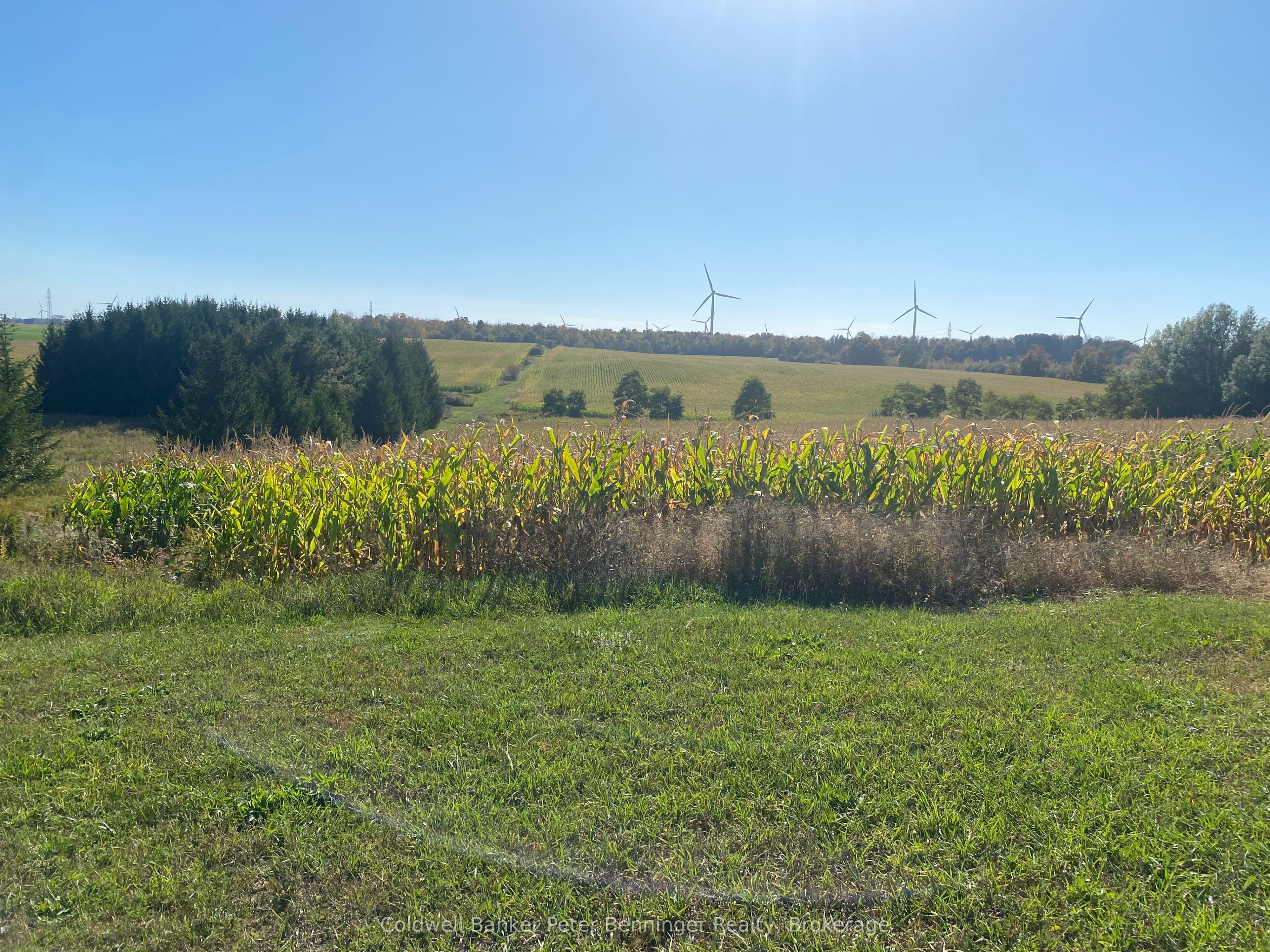 1315 Concession 8 Concession Property Photo 3