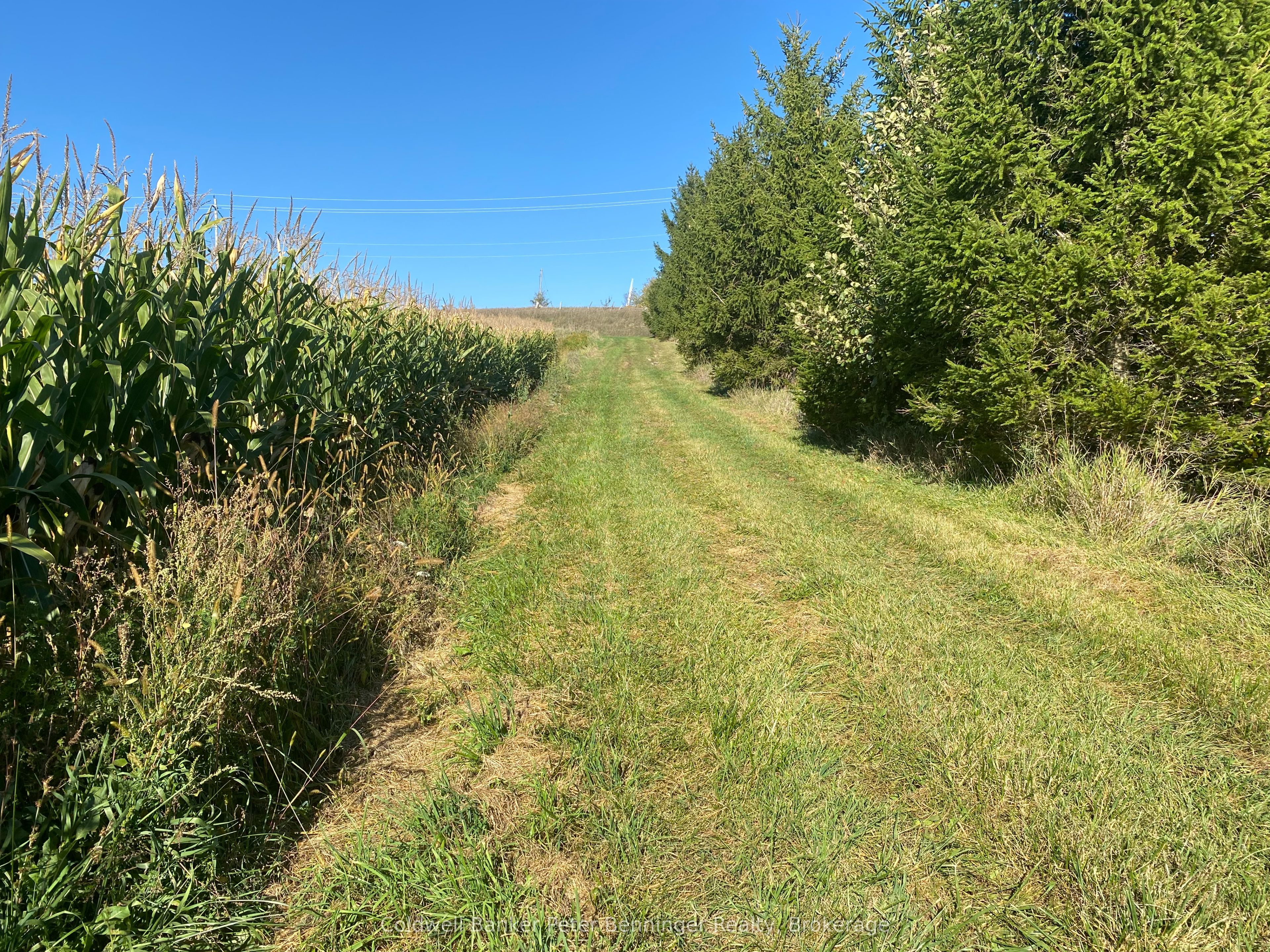1315 Concession 8 Concession Property Photo 4