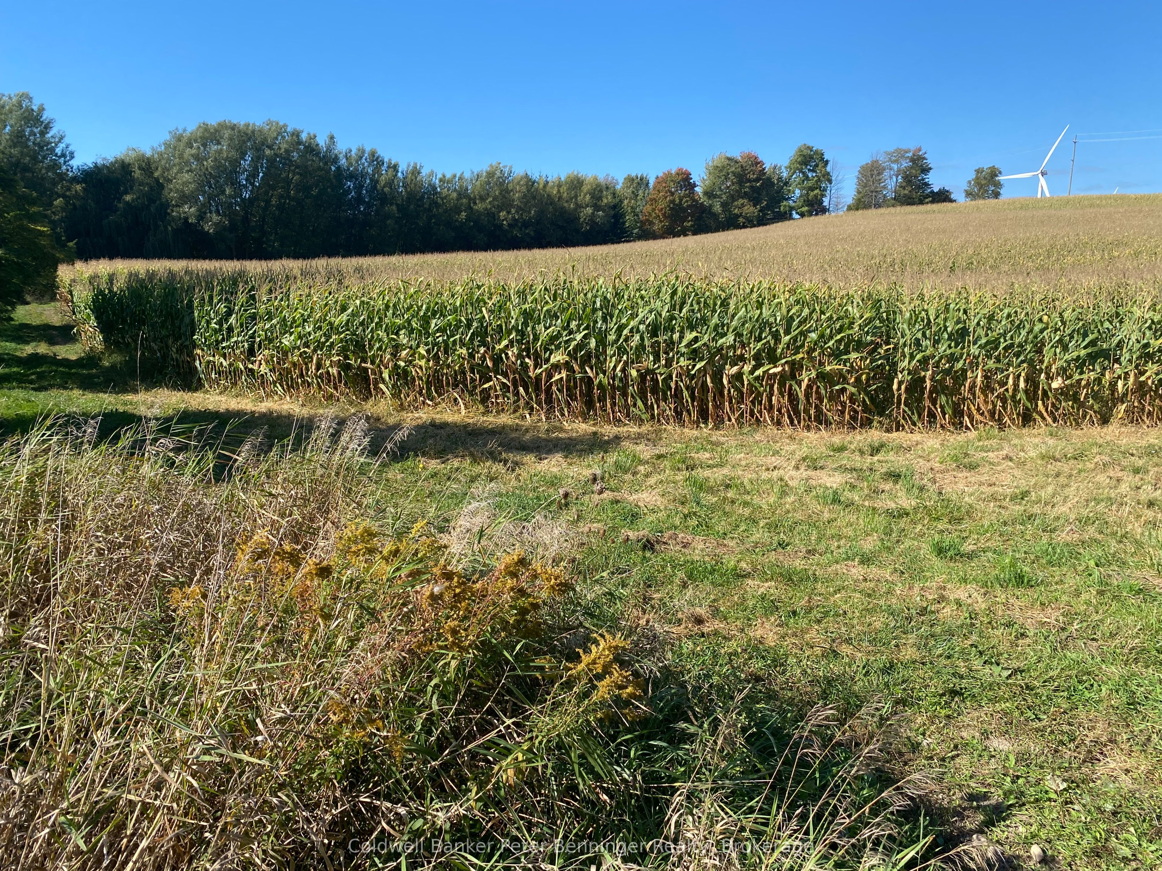 1315 Concession 8 Concession Property Photo 5