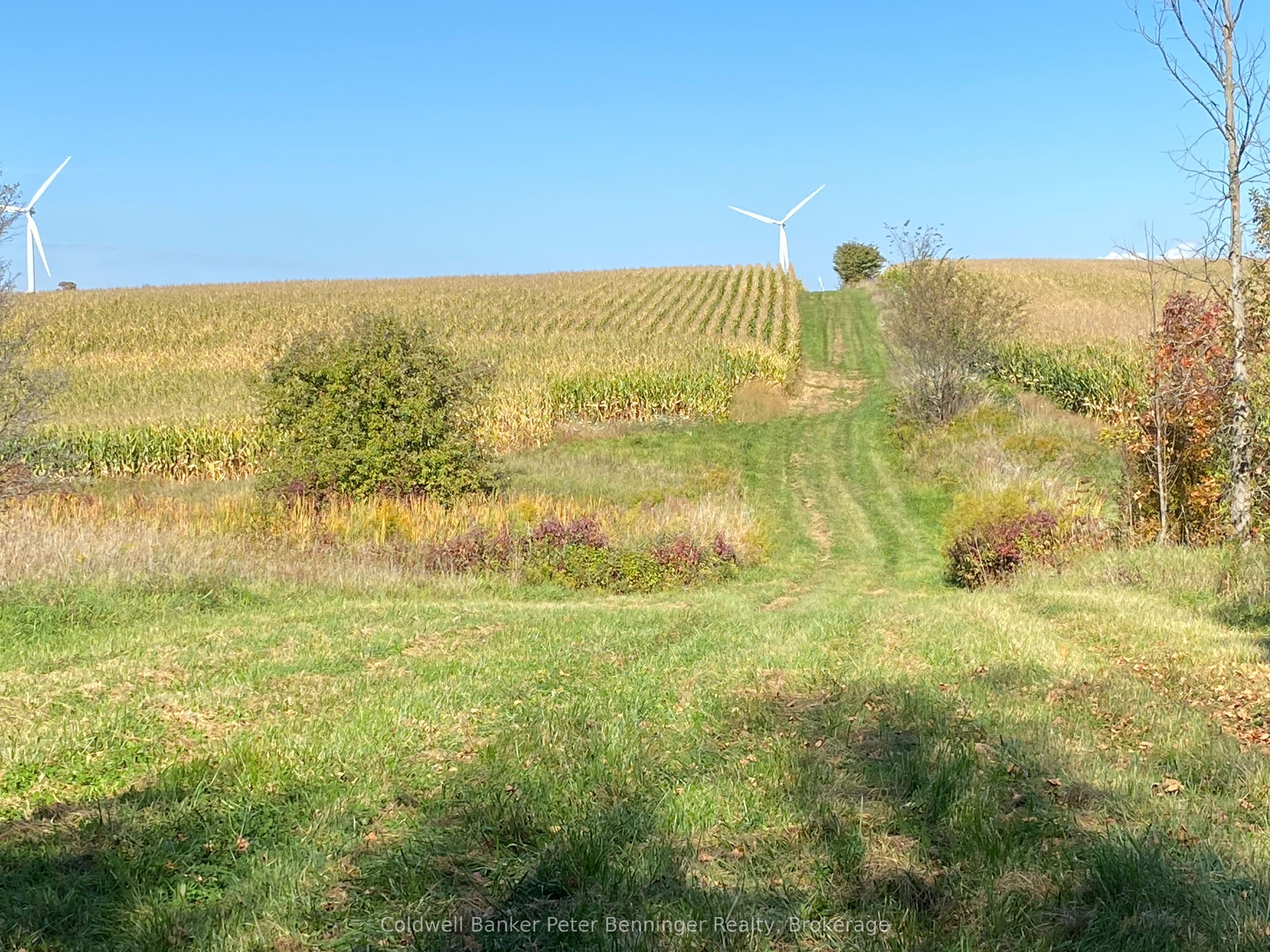 1315 Concession 8 Concession Property Photo 8