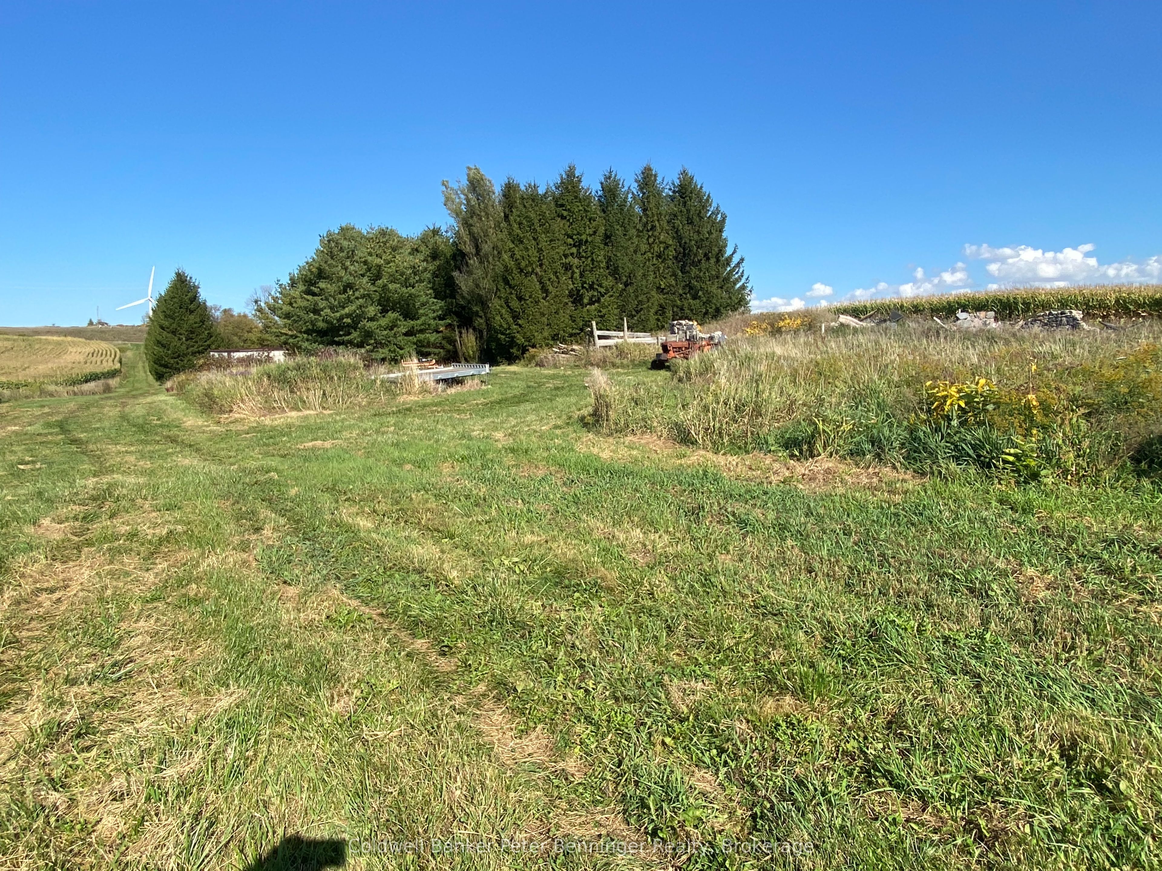 1315 Concession 8 Concession Property Photo 9