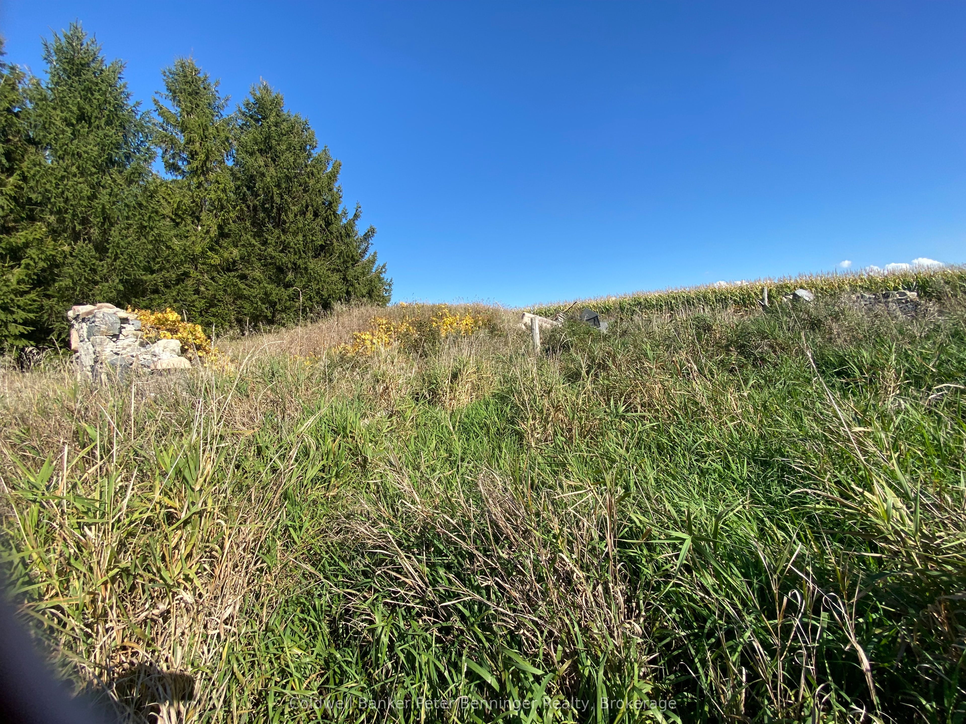 1315 Concession 8 Concession Property Photo 10