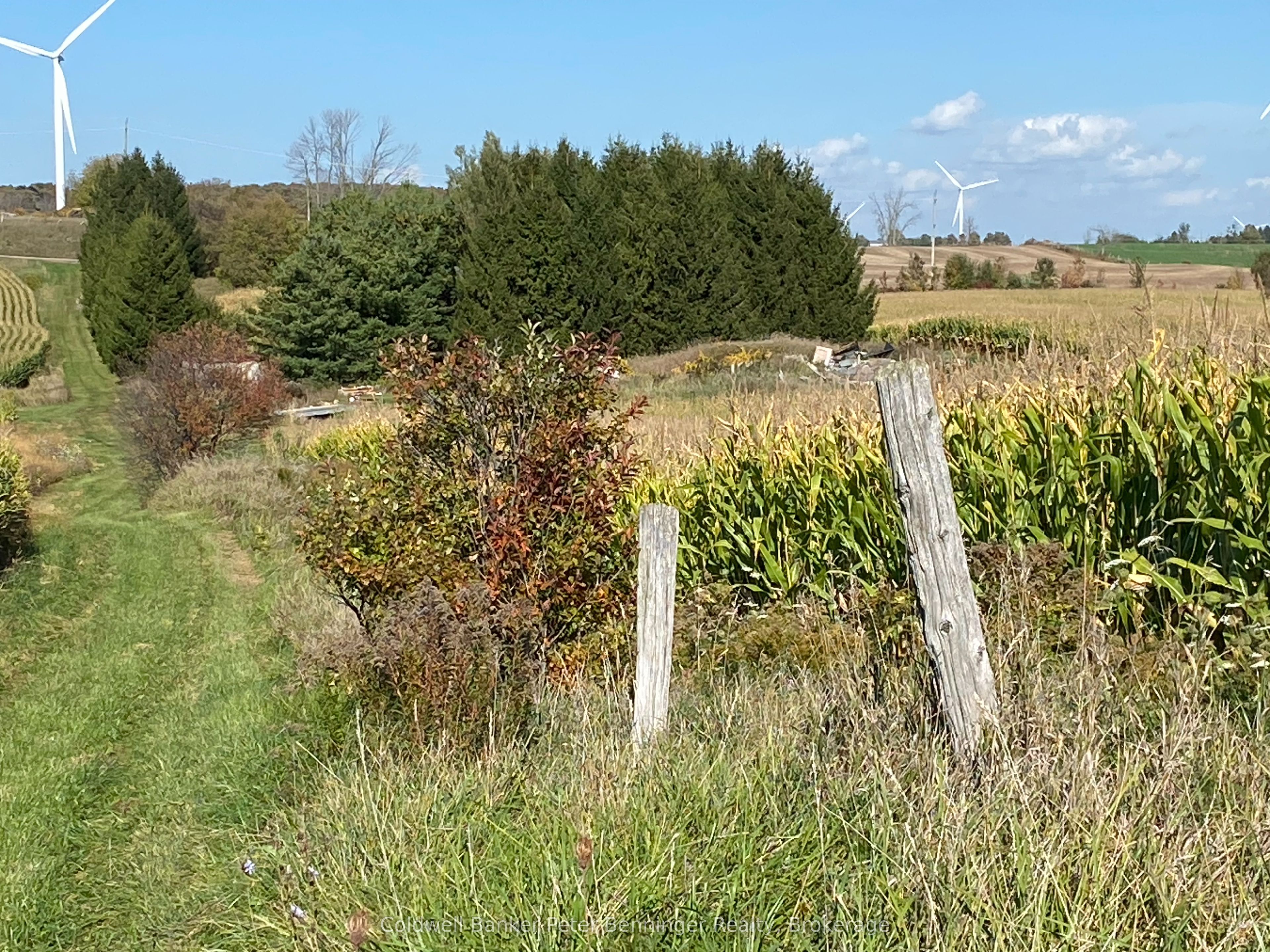 1315 Concession 8 Concession Property Photo 11