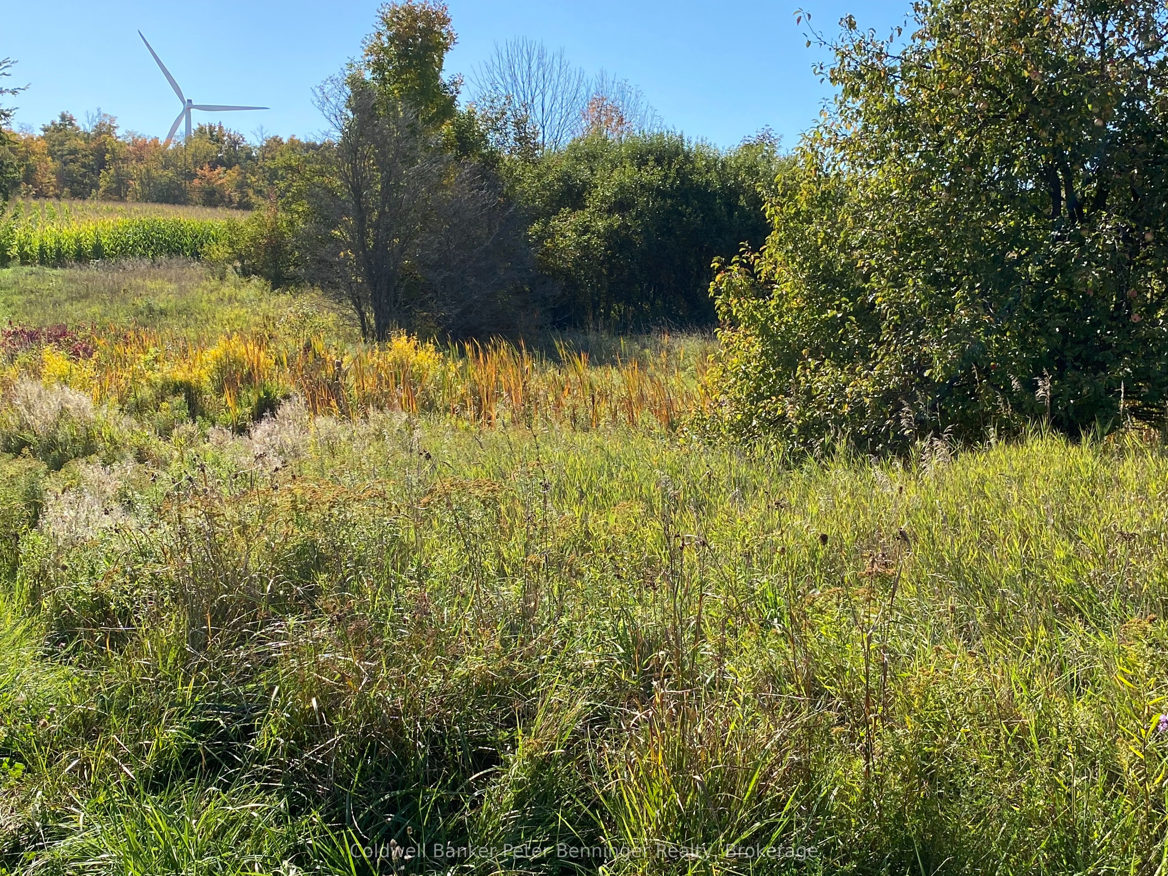 1315 Concession 8 Concession Property Photo 12