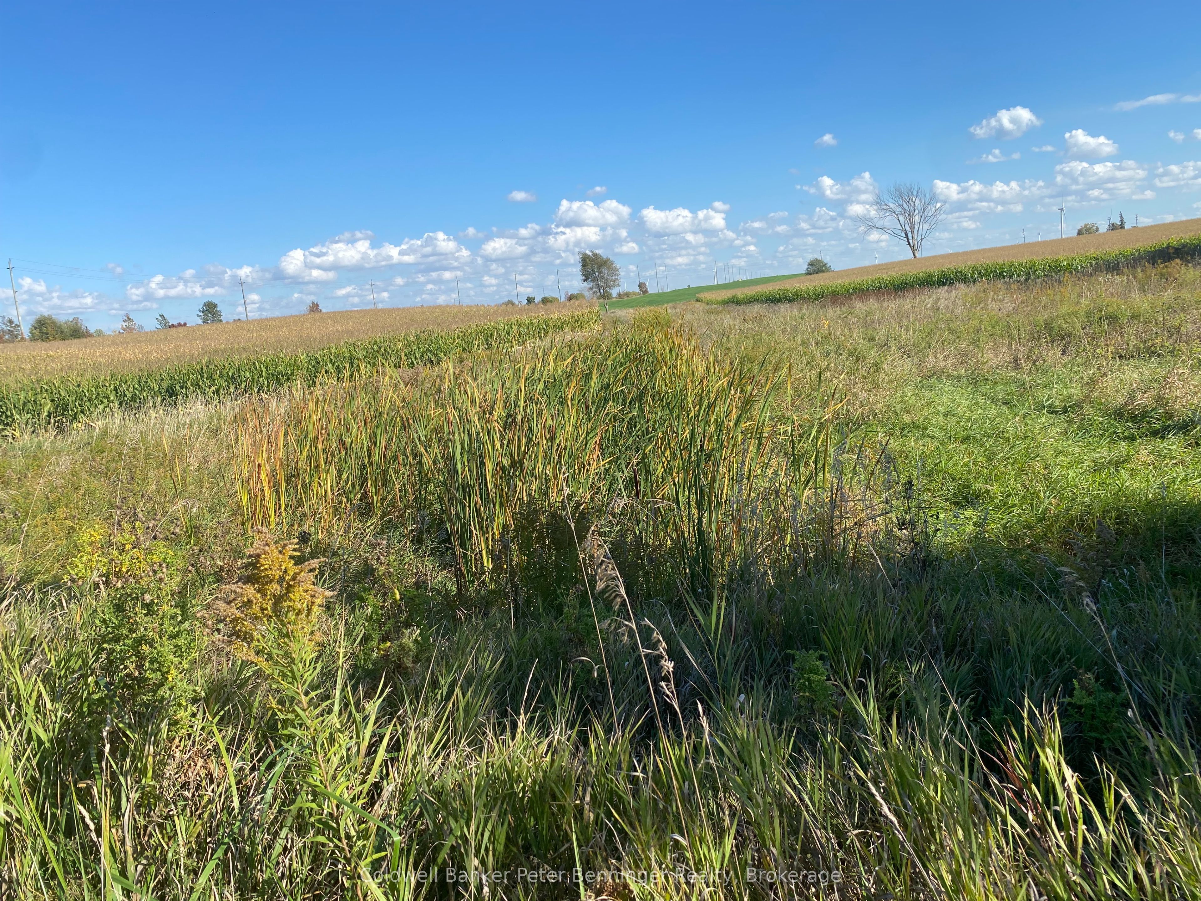1315 Concession 8 Concession Property Photo 13