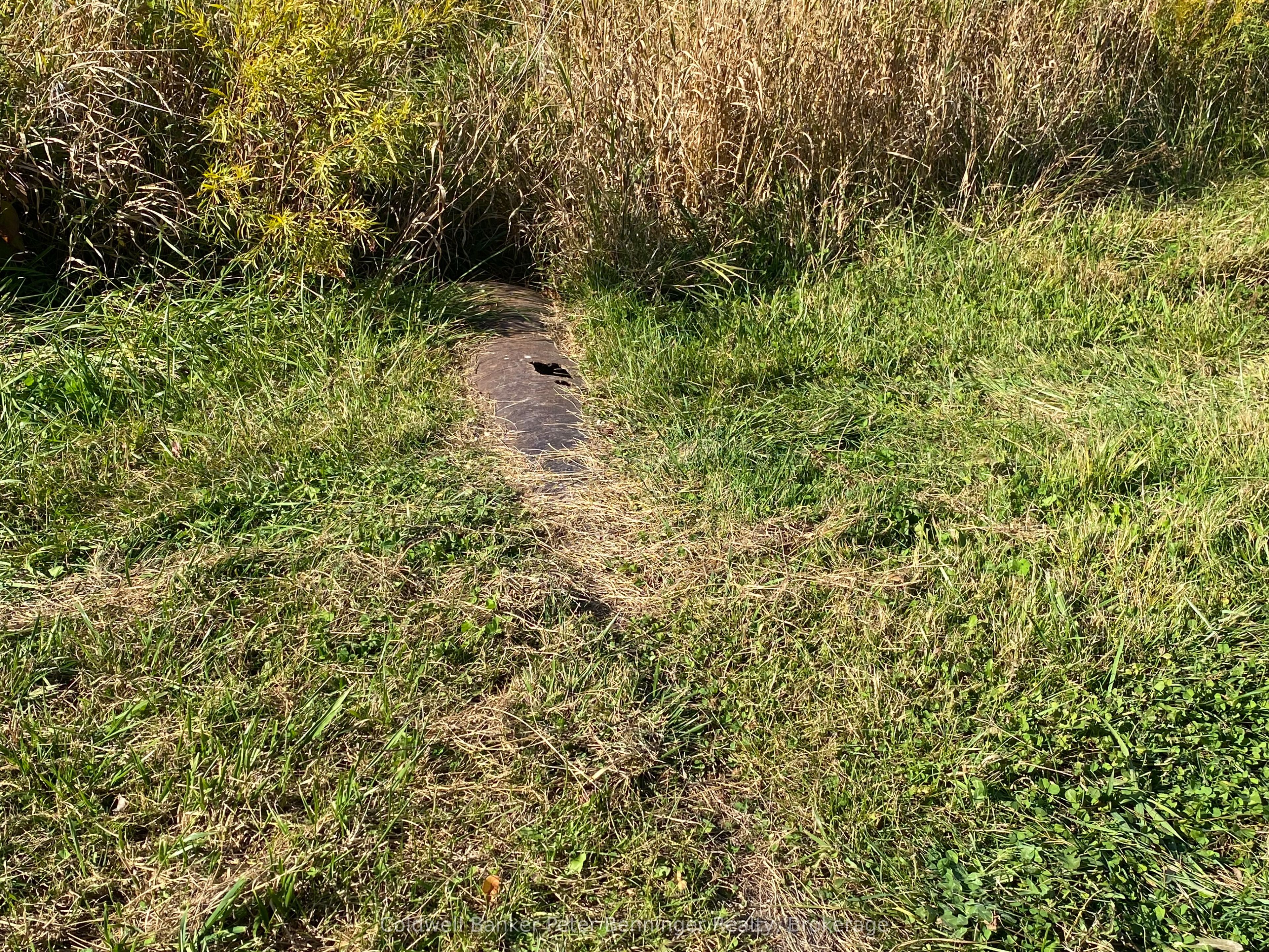 1315 Concession 8 Concession Property Photo 14