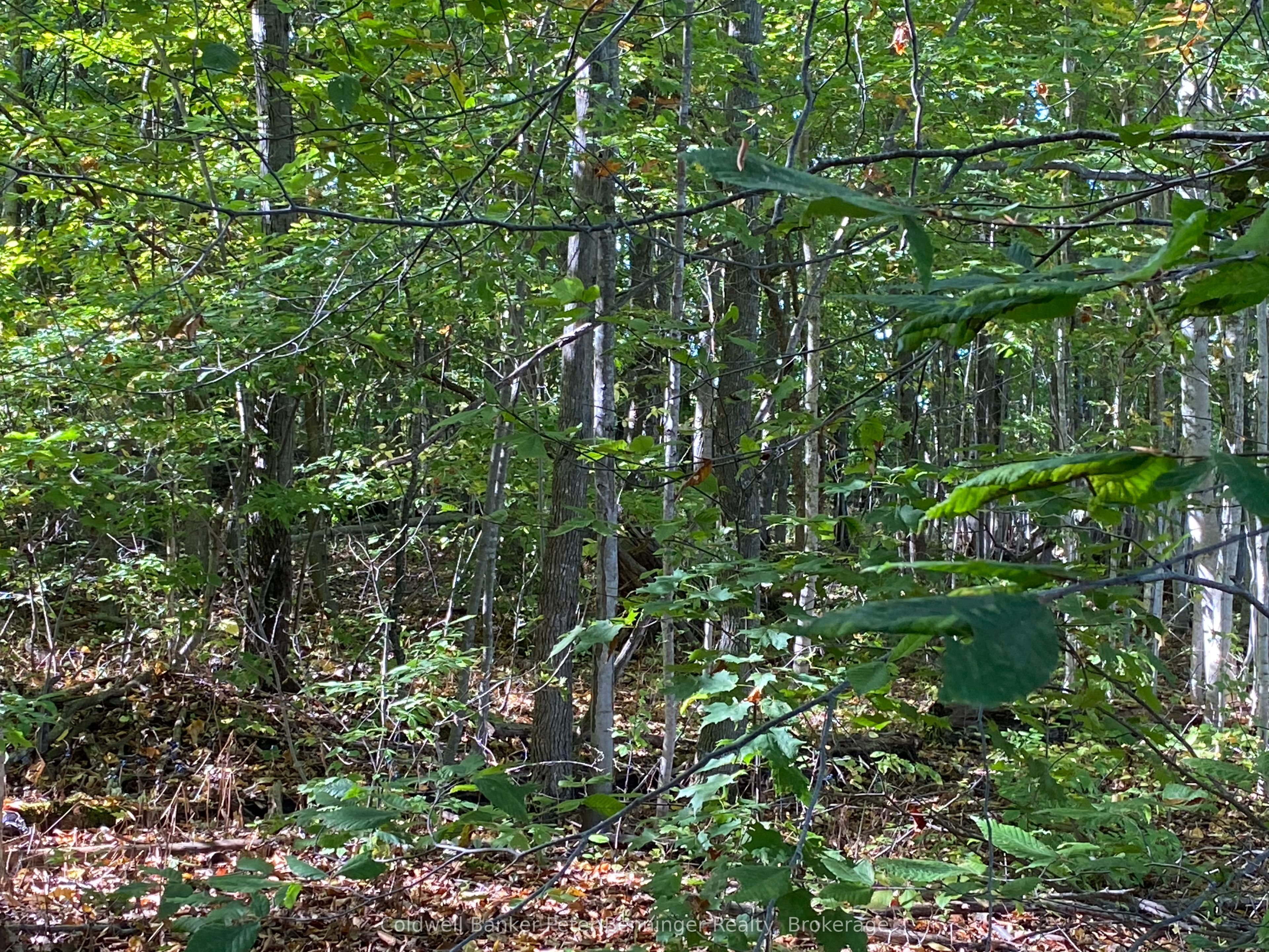 1315 Concession 8 Concession Property Photo 15