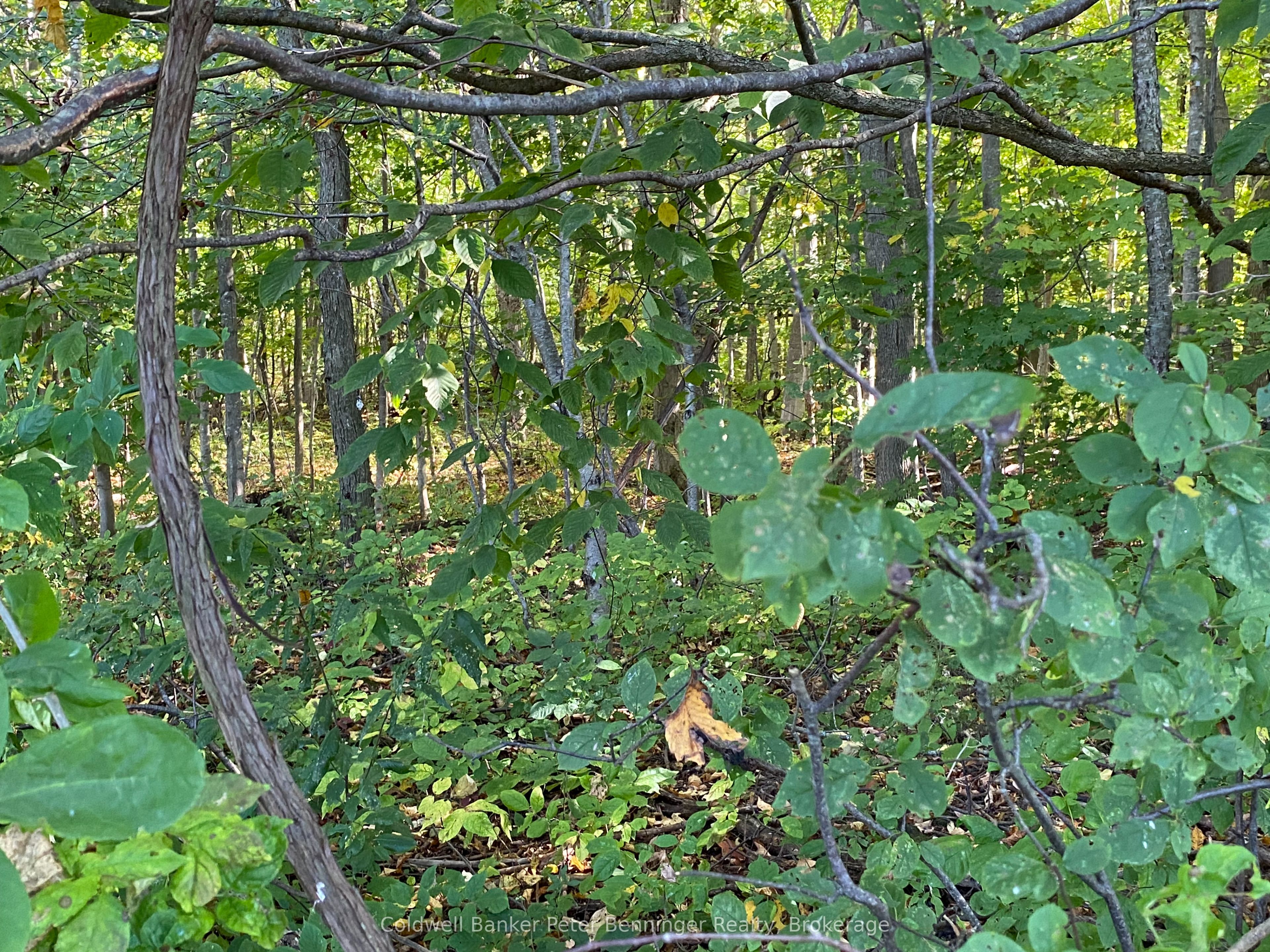 1315 Concession 8 Concession Property Photo 16