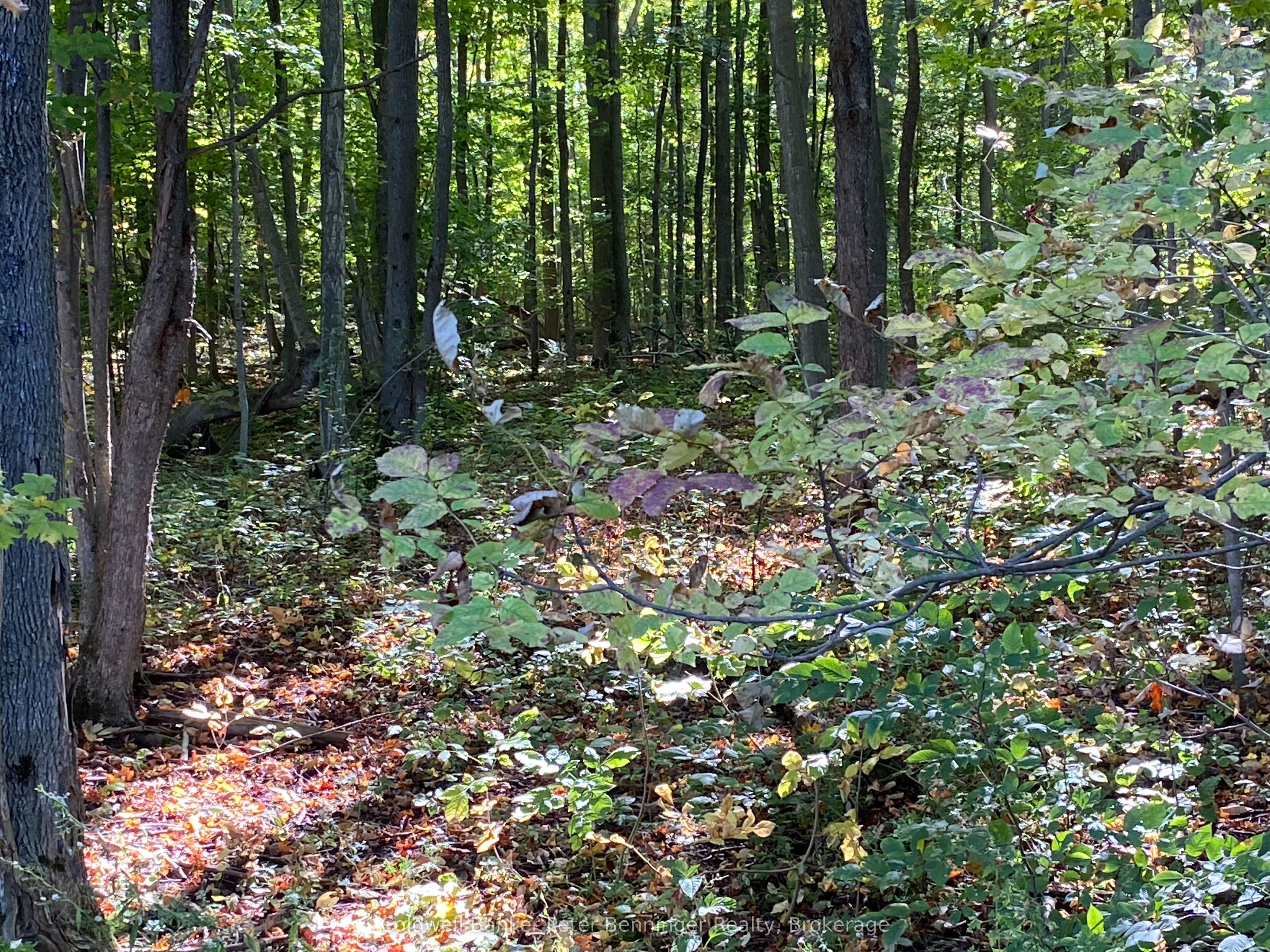 1315 Concession 8 Concession Property Photo 17