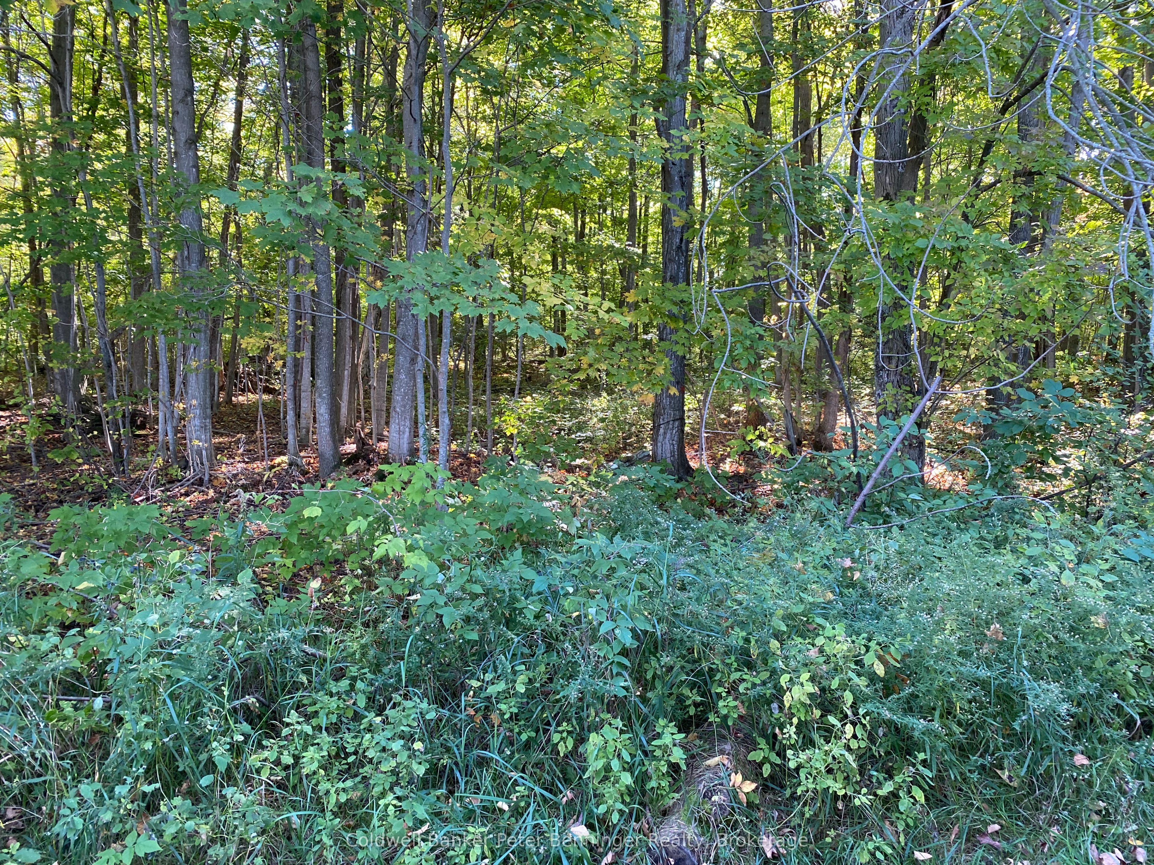 1315 Concession 8 Concession Property Photo 21