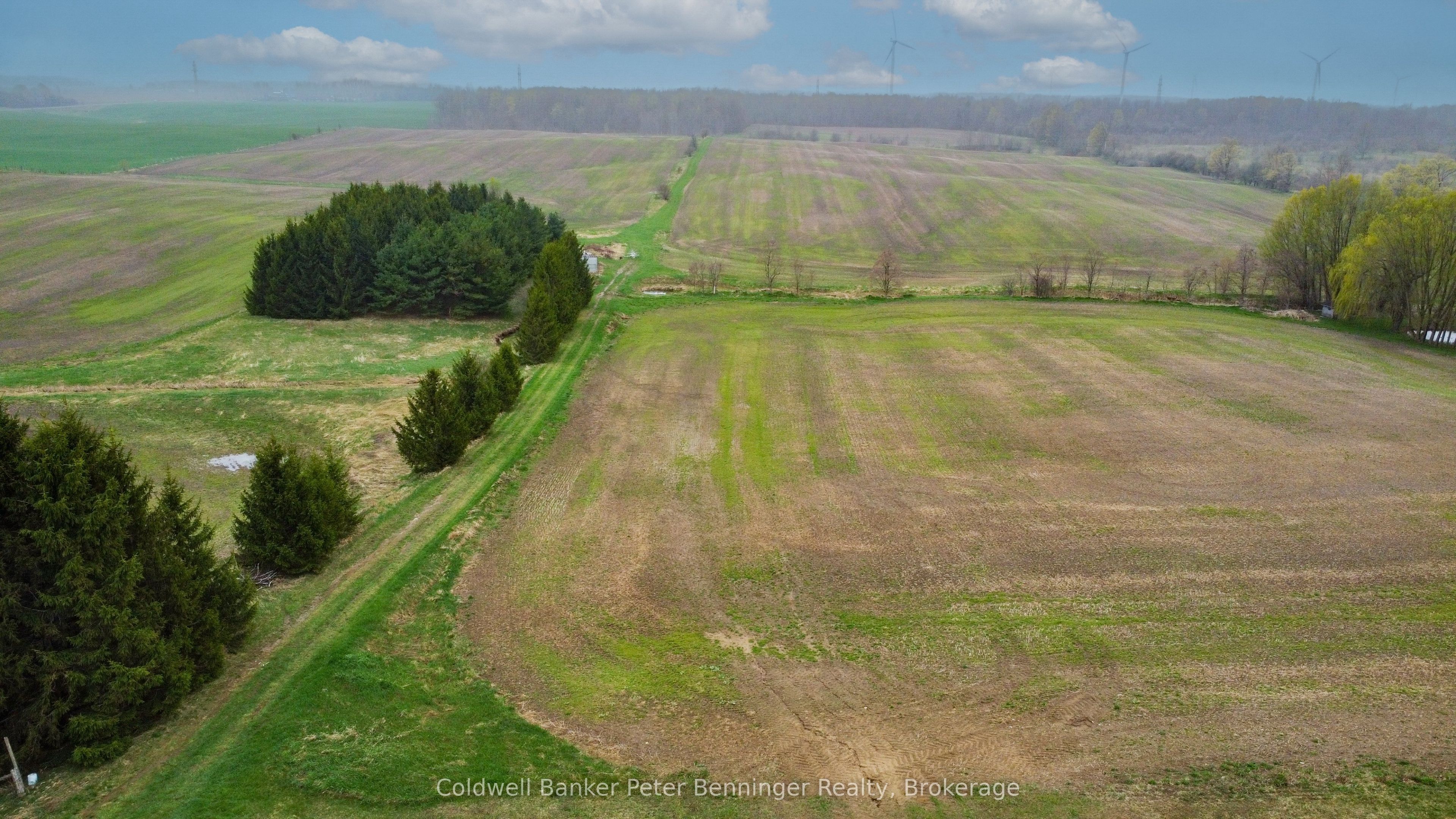1315 Concession 8 Concession Property Photo 22