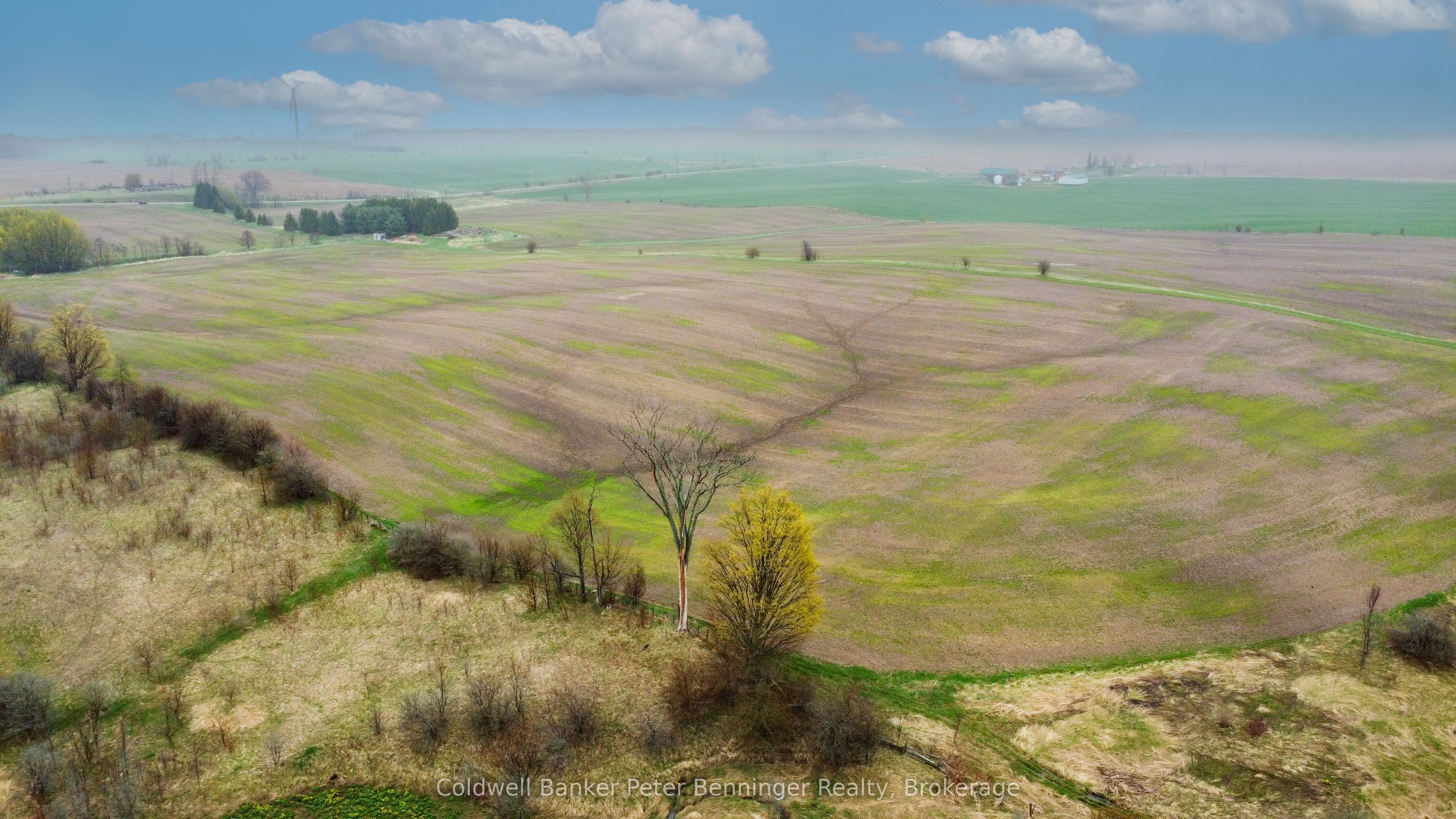 1315 Concession 8 Concession Property Photo 23